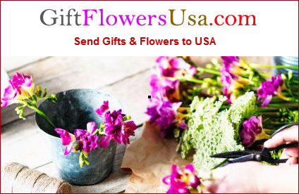 Giftflowersusa