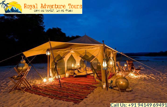 Company Logo For Royal Adventure Tour Packages'