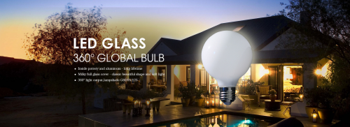 Large Round Globe LED Light Bulb'