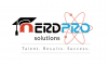 Company Logo For NerdPro Writing Solutions'