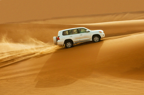 Desert Safari Abu Dhabi'