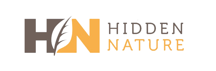 Hidden Nature'