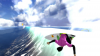 The Surfer PS3 - backside bliss'