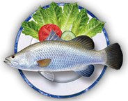 Practical Aquaponics