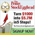 Penny Stock Egghead'