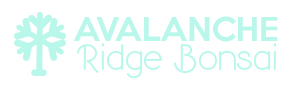 AvalancheRidgeBonsai.com Logo