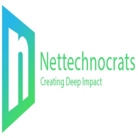 Nettechnocrats