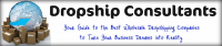 Drop Ship Consultants Logo