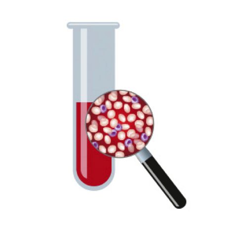 Liquid Biopsy Market'