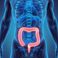 Ulcerative Colitis Market