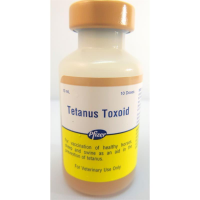 Tetanus Toxoid Vaccine Market