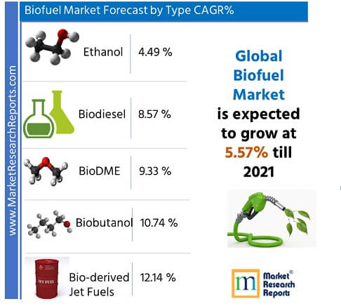 Global Biofuel Market Research Report 2021'