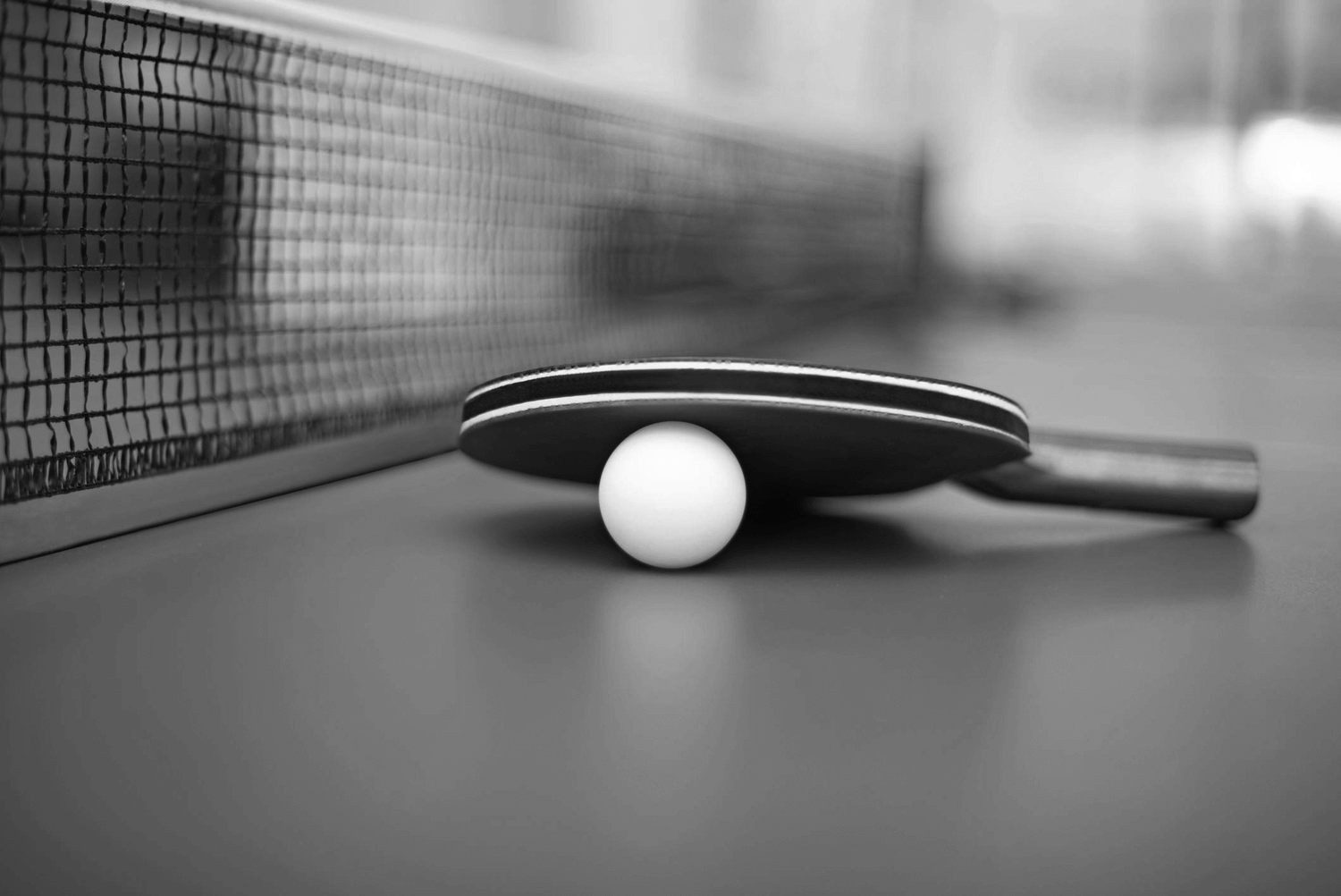 Ping Pong Paddle Market