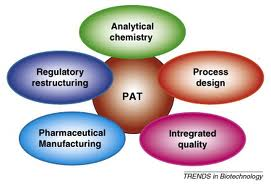 Process Analytical Technology Market