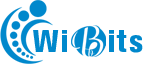 Wibits Web Solutions LLP