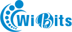 Wibits Web Solutions LLP Logo