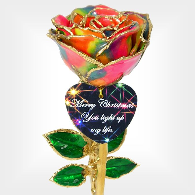 Rainbow Christmas Rose