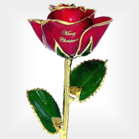 Personalized Merry Christmas Rose