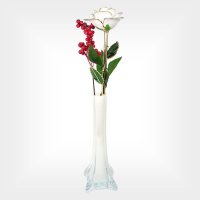 White Rose in Vase
