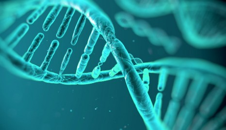 Molecular Diagnostics market