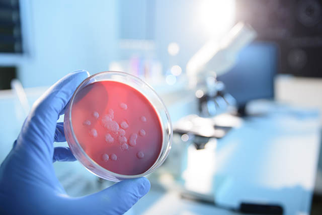 Infectious Diseases Market'