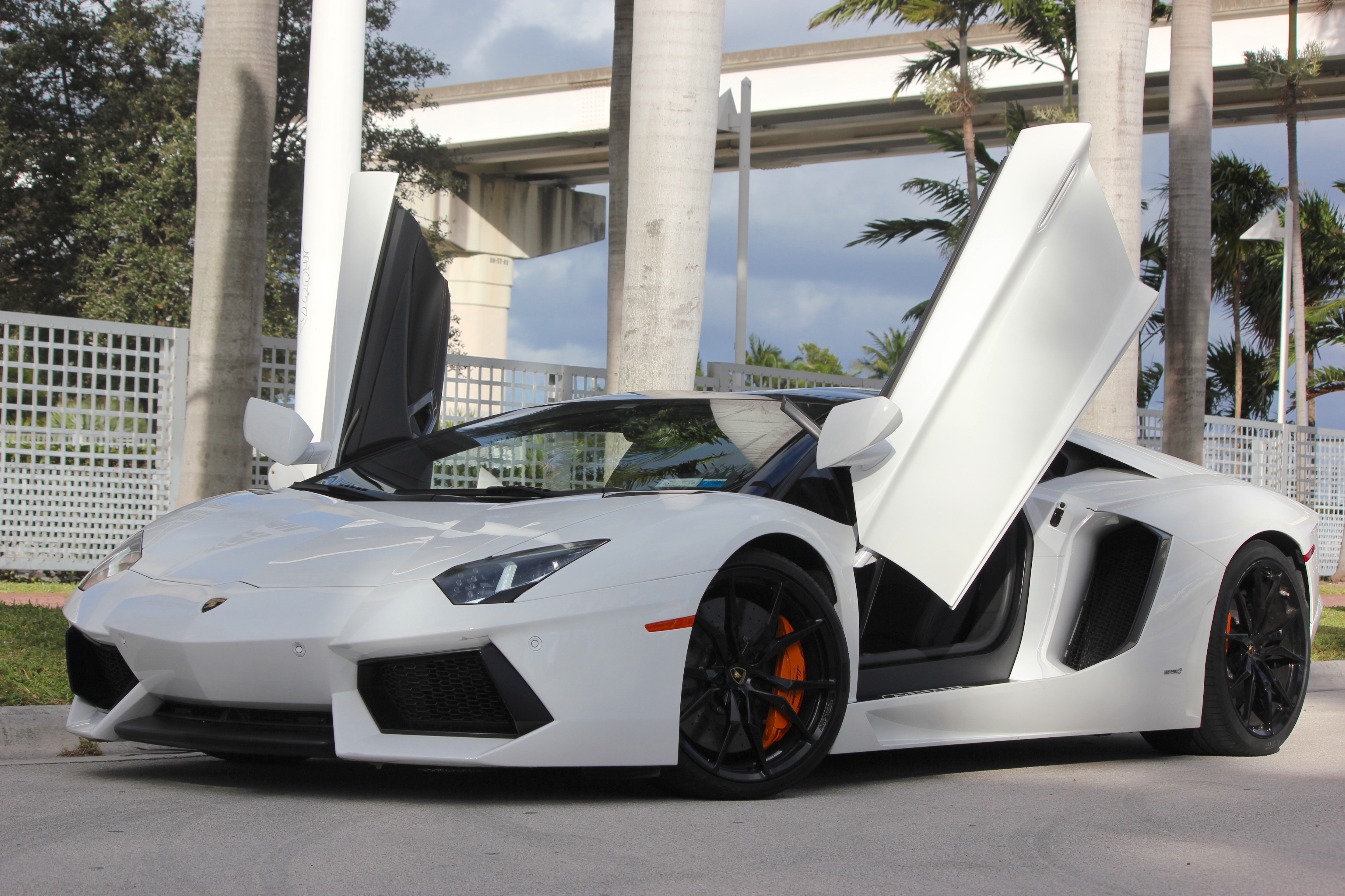 Lamborghini Aventador Roadster.1512497261.JPG'