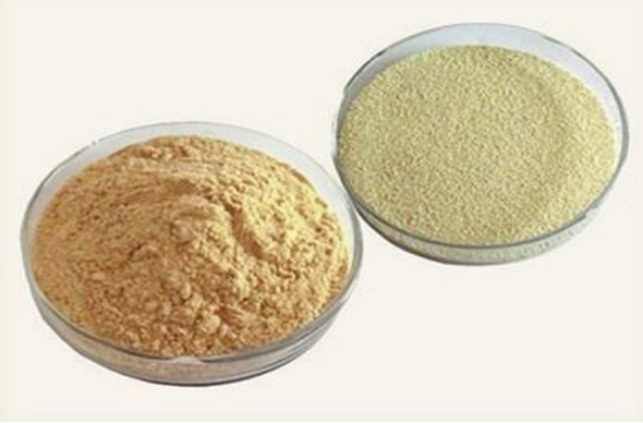 Yeast Extract and Beta Glucan