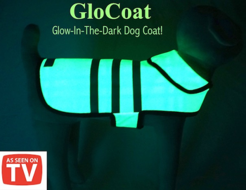 Glo Coat'