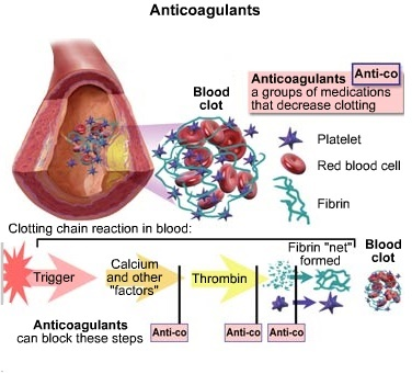 U.S. AntiCoagulants Market