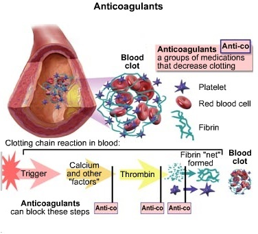 U.S. AntiCoagulants Market'