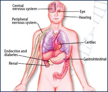 Mitochondrial Myopathy Diagnosis & Treatment Market