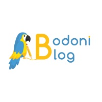 Bodoni Blog