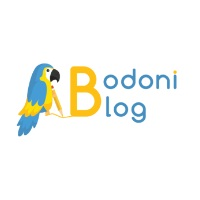 Bodoni Blog Logo