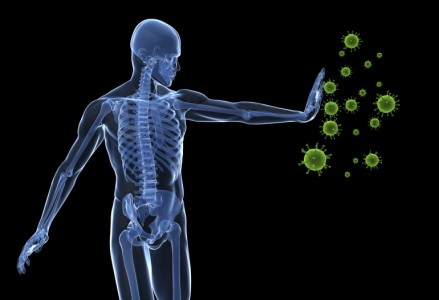 Yeast Extracts and Beta-Glucan market