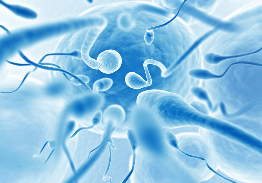 In-Vitro Fertilization (IVF) services'