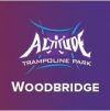 Company Logo For Altitude Trampoline Park'