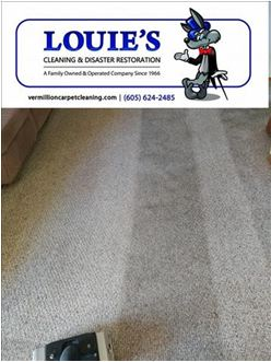 Louie's Cleaning and Disaster Restoration