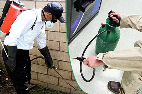 Company Logo For 24 Hours Pest Control Brooklyn NY'