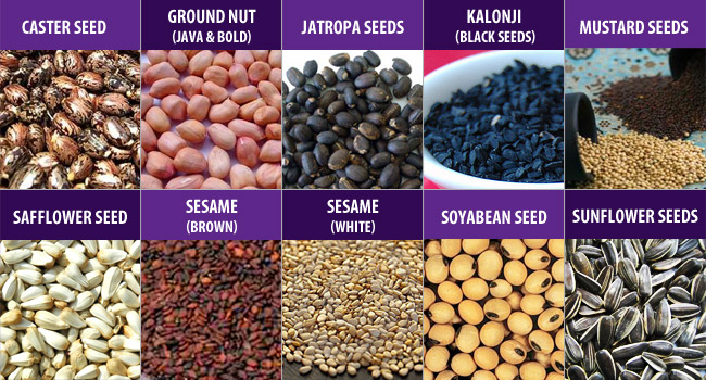 Oilseeds Market Expected to Reach $255,213 Million by 2023