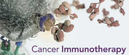 Cancer Immunotherapy Market'