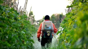 BioPesticides Market