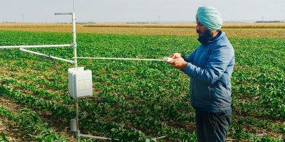 Agricultural Biologicals market