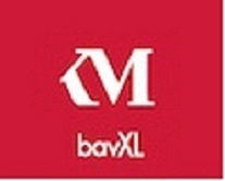 Company Logo For BavXl'