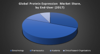 Global Protein Expression Market, Market Share, by End User