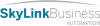 Company Logo For Skylink Business Automation'