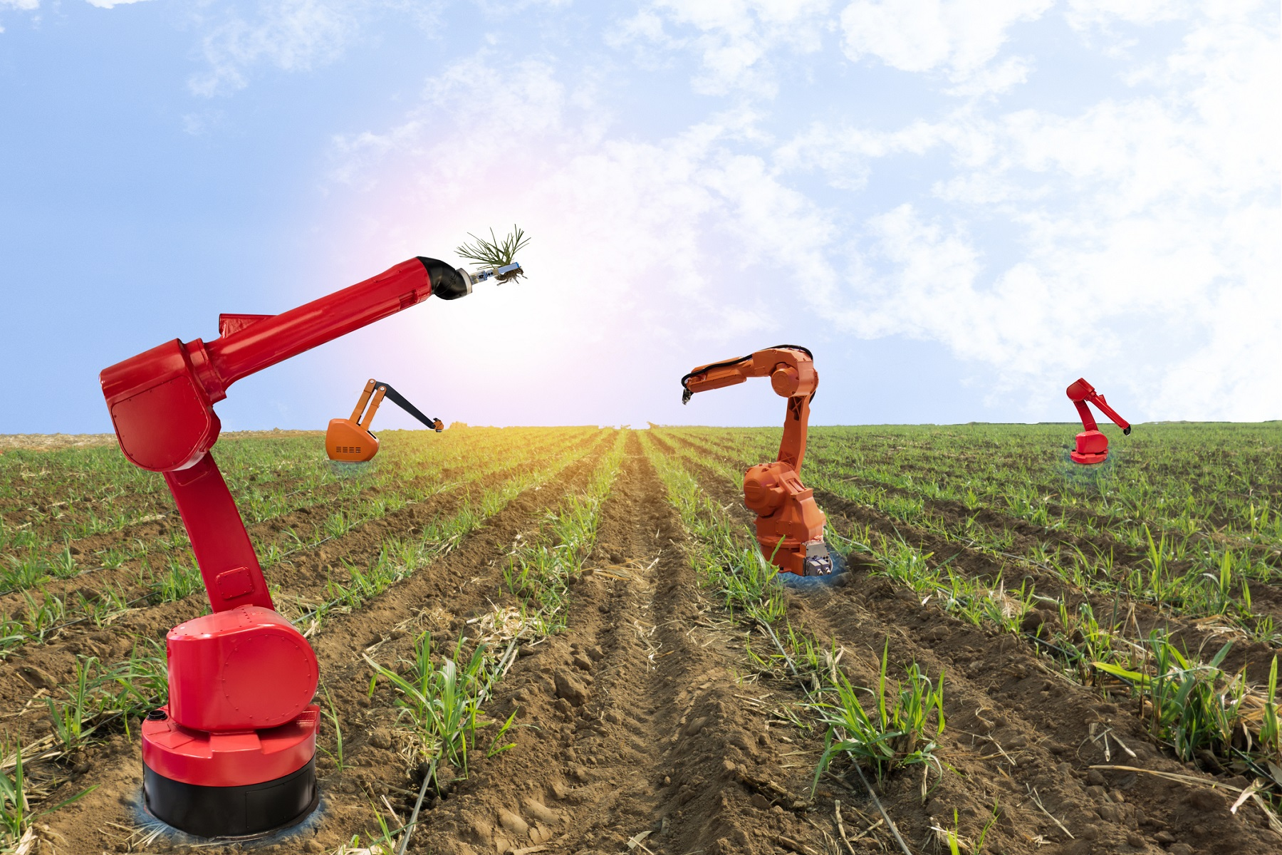 Agricultural Robots Market
