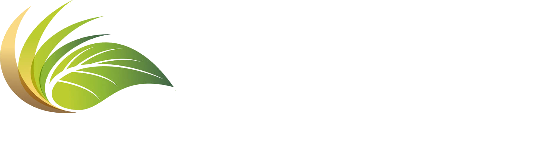 Anara'
