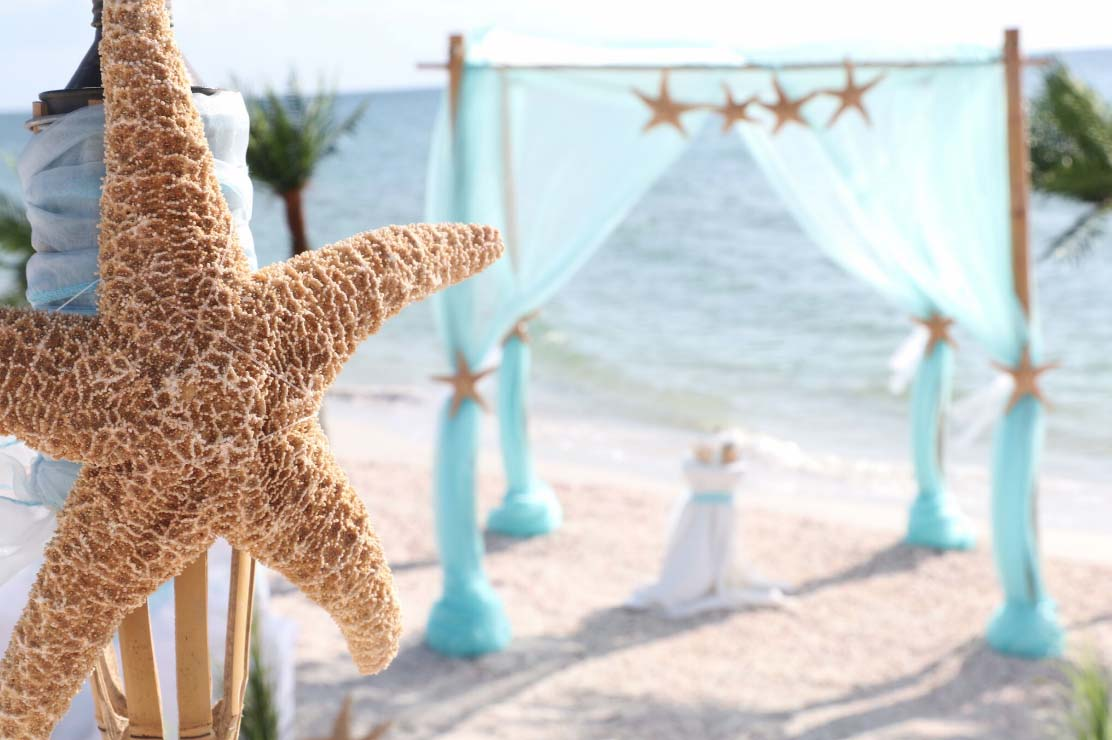 Beach wedding packages
