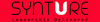 Company Logo For Synture Group'