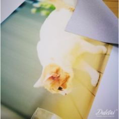 Haining Duletai New Material Co., Ltd Offers a Wide Range of'